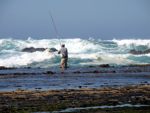 Pesca aos Sargos